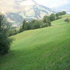 Wiesen