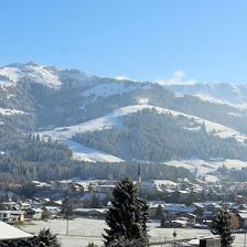 IMG_3585