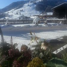 Blick Gaisberg mit Holzschlitten