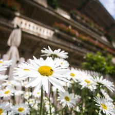 20190718_APA_UAB_8_Kasperhof_0007