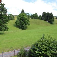 IMG_2326 (2)