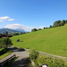 IMG_2387 (2)