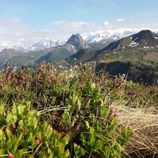 Blick Brechhorn - Rettenstein