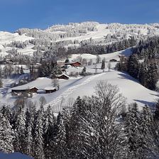 tiefverschneites Winterwunderland