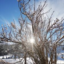 IMG_20220107_104207