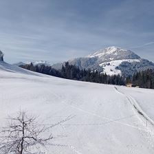 IMG_20230228_094914_650
