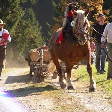 Flora bei der Arbeit