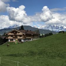 IMG_6551