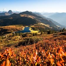 Mountainbiken©Mathäus Gartner (18)