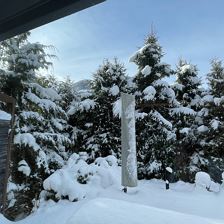 IMG_0313