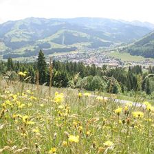 Aussicht