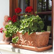Die kleine Denkerin mit Blumen
