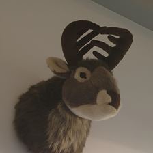 Apartment Hüttenzauber in Kirchdorf