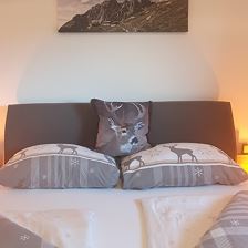 Apartment Hüttenzauber Kirchdorf in Tirol