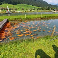 Apartment Hüttenzauber