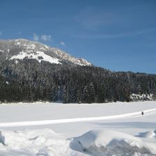 Loipe hinter dem Haus