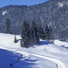 Bilder Winter 2004 05 063