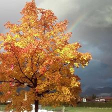 20161018_172323