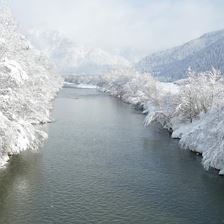 Winter11012019 (11)-001