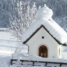 Winter11012019 (14)