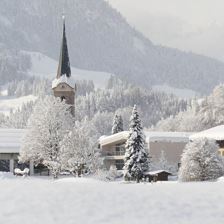 Winter11012019 (32)-001