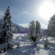 Winter11012019 (49)-001