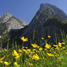 Blick von Kirchdorf auf Wilder Kaiser 3