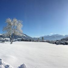 Winter 2018