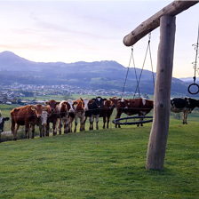 Copilot_20260315_140723