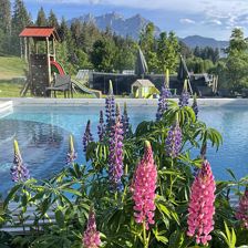 Hotel mit Pool und großer Garten - Wanderurlaub