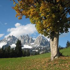 Herbst