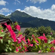 Balkon_Hirsch