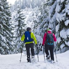 015-14 ©FranzGERDL _REG-St.Johann 5877