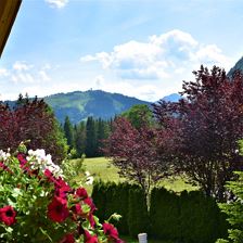 Aussicht zur Buchensteinwand
