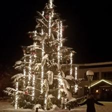 photo_2021-12-12_13-24-38