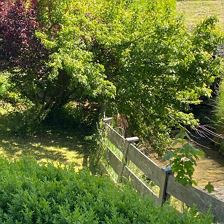 IMG-20200601-WA0028