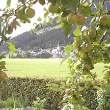 Dorfblick