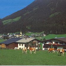 Bauernhof