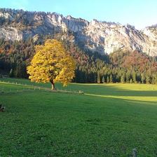 Wandern 