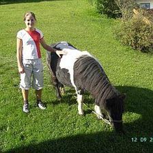 Unser Pony 2