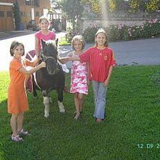 Unser Pony