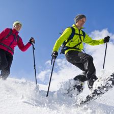 Snow Shoe Tours