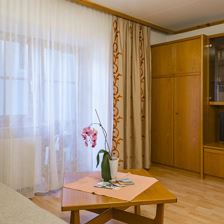 App. Seibl, St. Johann, Top_1