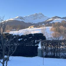 Apartment Lopez - Aussicht aufs Kitzbüheler Horn