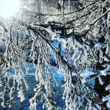 Haus Lorenz, St. Johann in Tirol