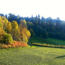 Aussicht Balkon - Horn Lounge -Herbst