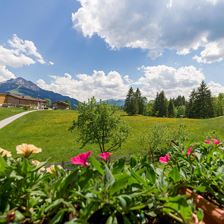 Aussicht Appartement Kaiserluft