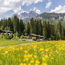 Hausansicht, Bergpanorama Appartement Kaiserluft
