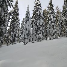 Winterlandschaft _03