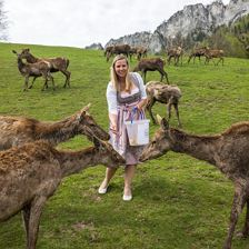 Urlaub am Bauernhof St. Johann in Tirol